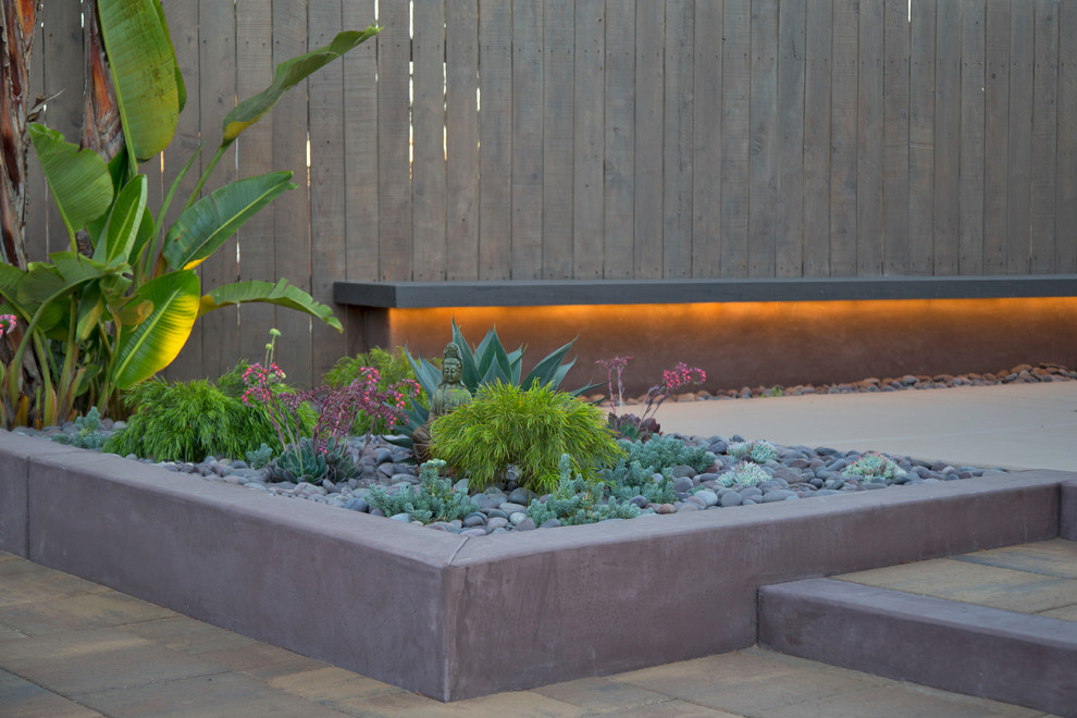 Idee per un piccolo giardino tropicale dietro casa con pavimentazioni in cemento