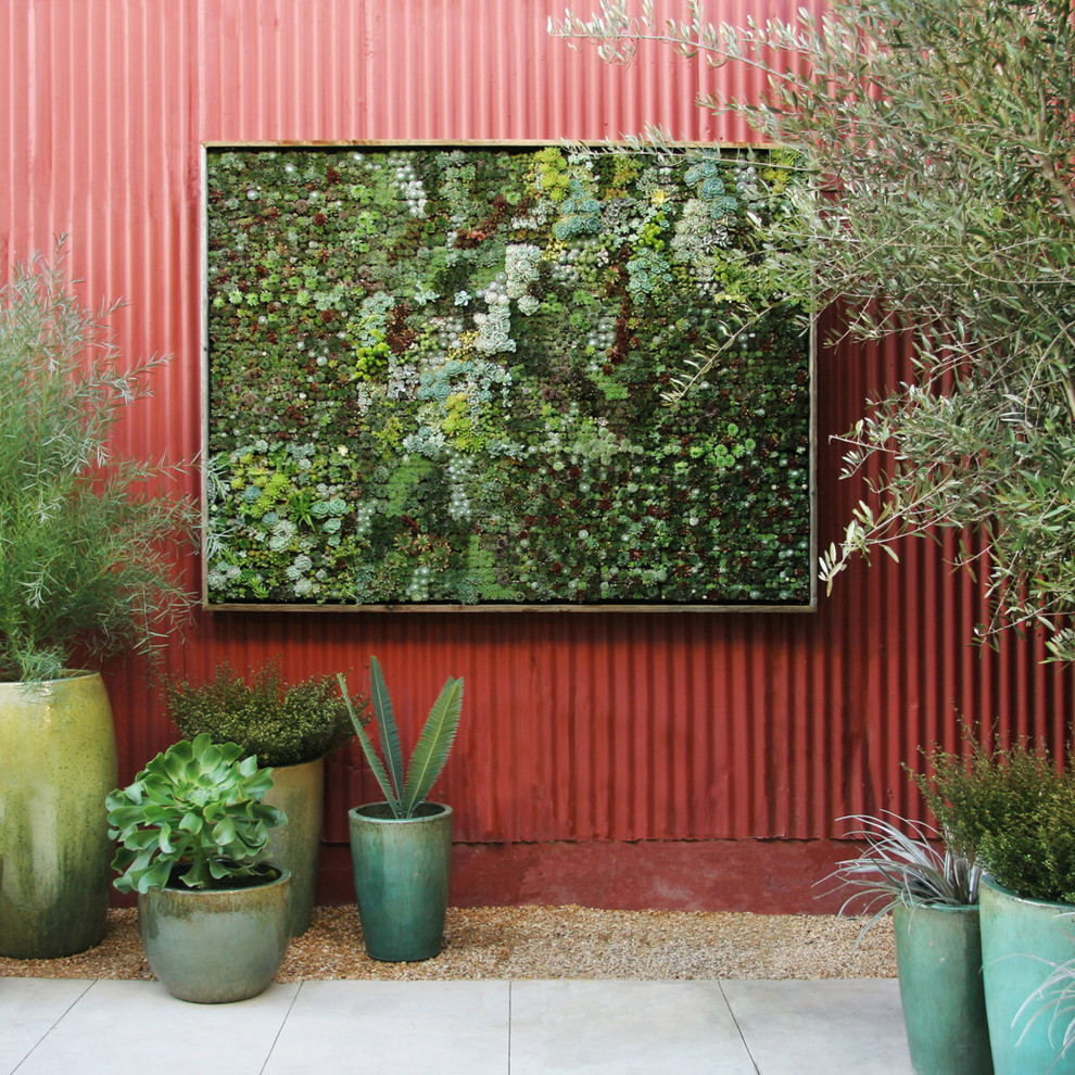 Design ideas for a contemporary patio in Detroit with a living wall.