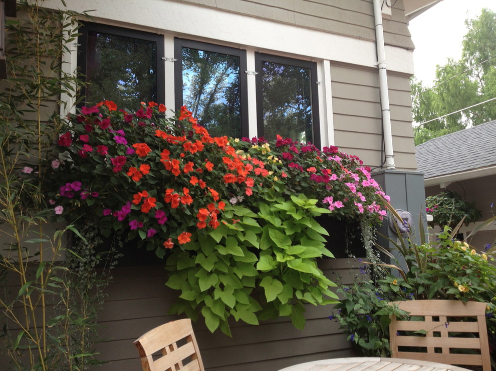This is an example of a world-inspired courtyard patio in Boise with a potted garden.
