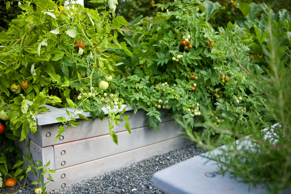 Inspiration for a large timeless backyard gravel patio vegetable garden remodel in Seattle with no cover