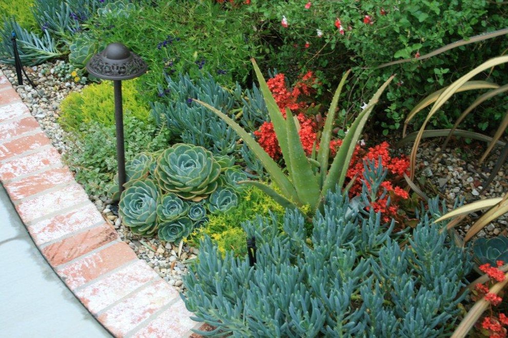 Plantas Exterior Sol () Plantas Exterior Sol