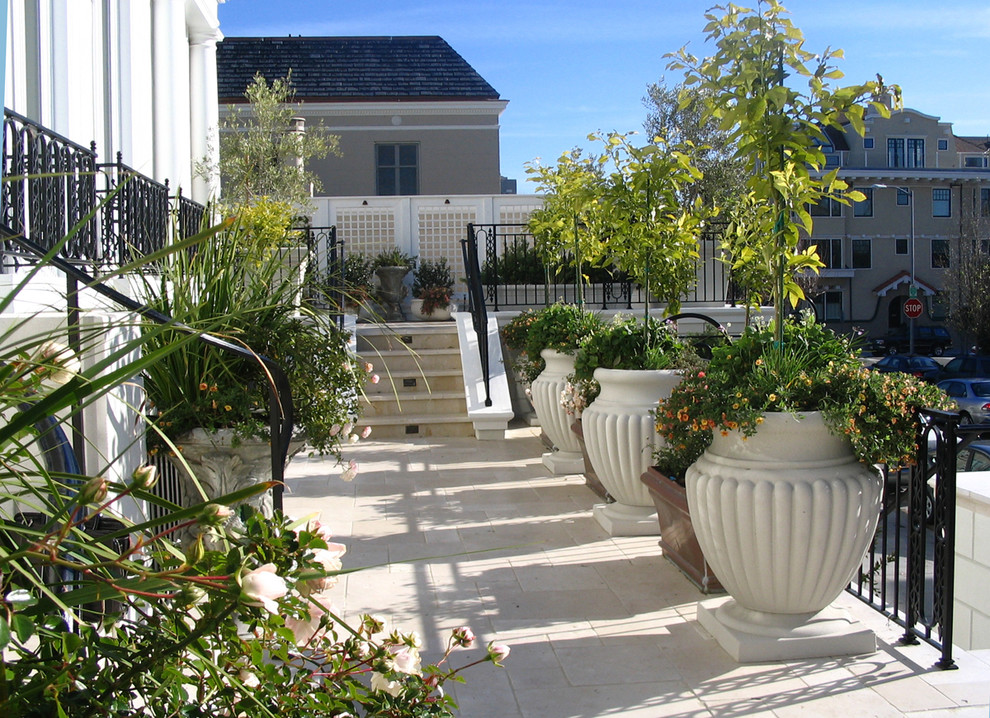 Design ideas for a traditional patio steps in San Francisco with no cover.