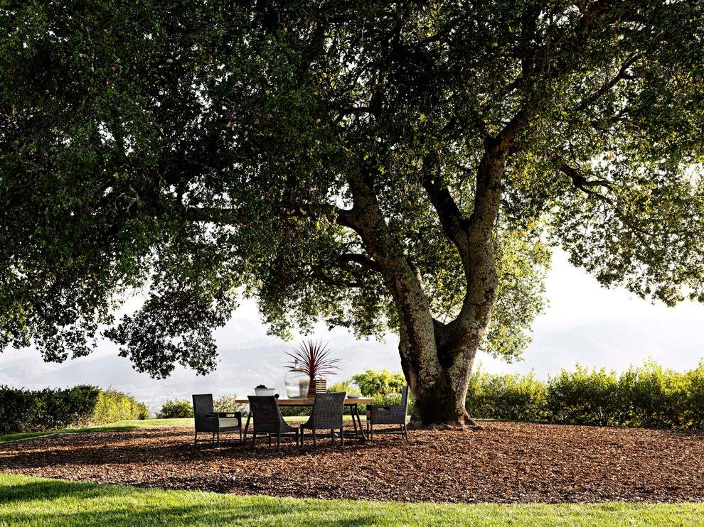 Patio - traditional patio idea in San Francisco with no cover