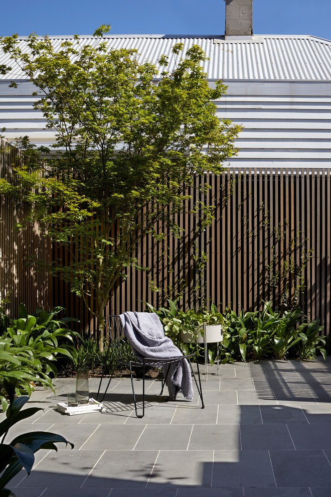 Свежая идея для дизайна: двор на заднем дворе в современном стиле с покрытием из плитки без защиты от солнца - отличное фото интерьера