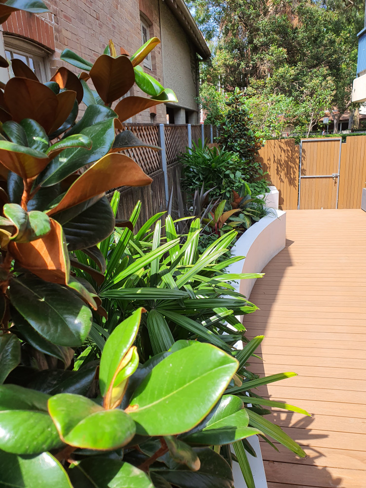 Стильный дизайн: маленький двор на внутреннем дворе в стиле модернизм с растениями в контейнерах и настилом для на участке и в саду - последний тренд