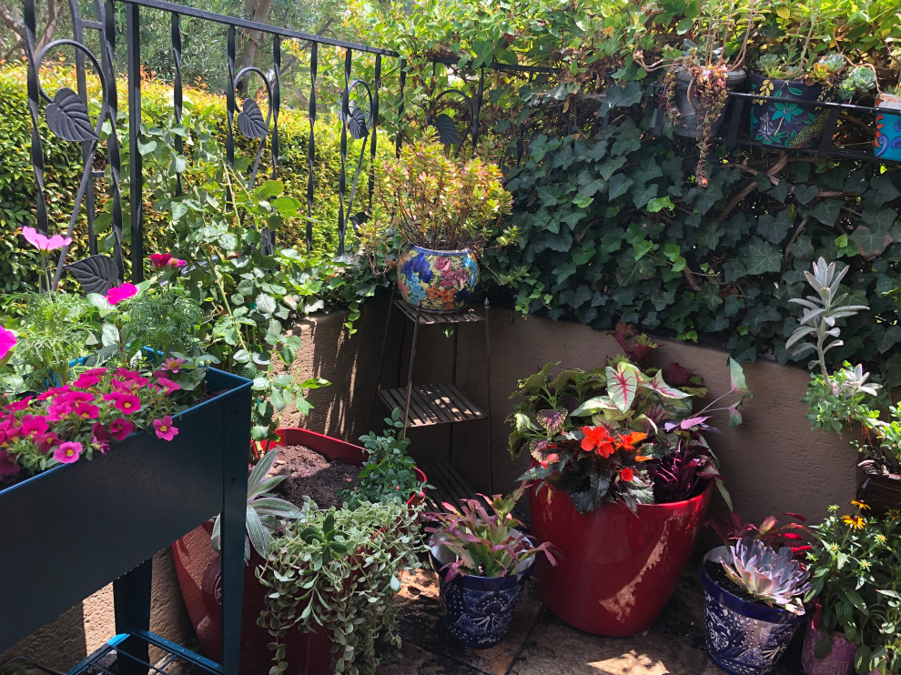 Esempio di un piccolo patio o portico classico in cortile con un giardino in vaso