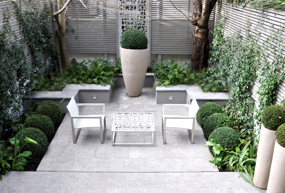 Esempio di un piccolo patio o portico minimalista con un giardino in vaso e pavimentazioni in pietra naturale