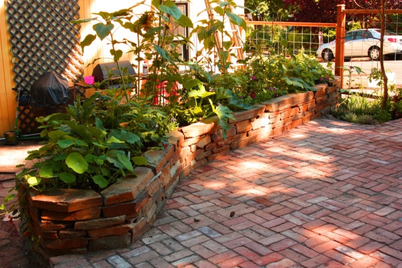 Modelo de patio ecléctico de tamaño medio sin cubierta en patio con jardín de macetas y adoquines de ladrillo