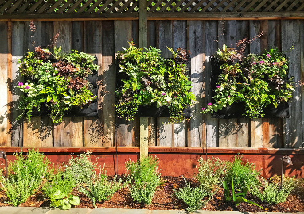 Réalisation d'un mur végétal de terrasse craftsman de taille moyenne avec une cour et un gazebo ou pavillon.