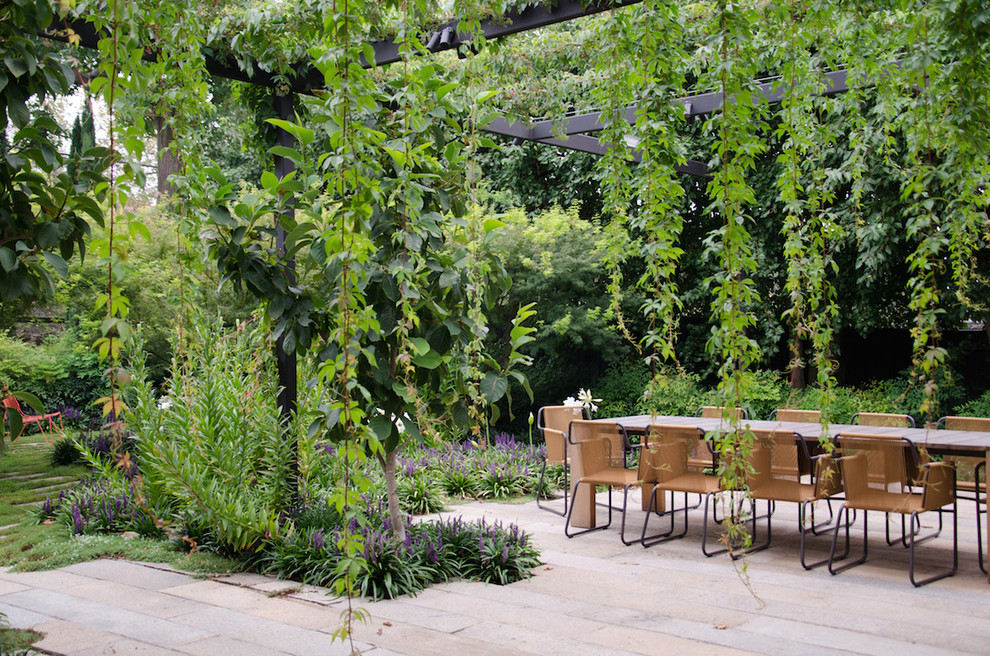 メルボルンにあるコンテンポラリースタイルのおしゃれな裏庭のテラス (コンクリート敷き	、パーゴラ) の写真