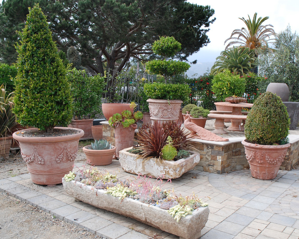 Topiaries in Terra Cotta Mediterranean Patio Santa Barbara by