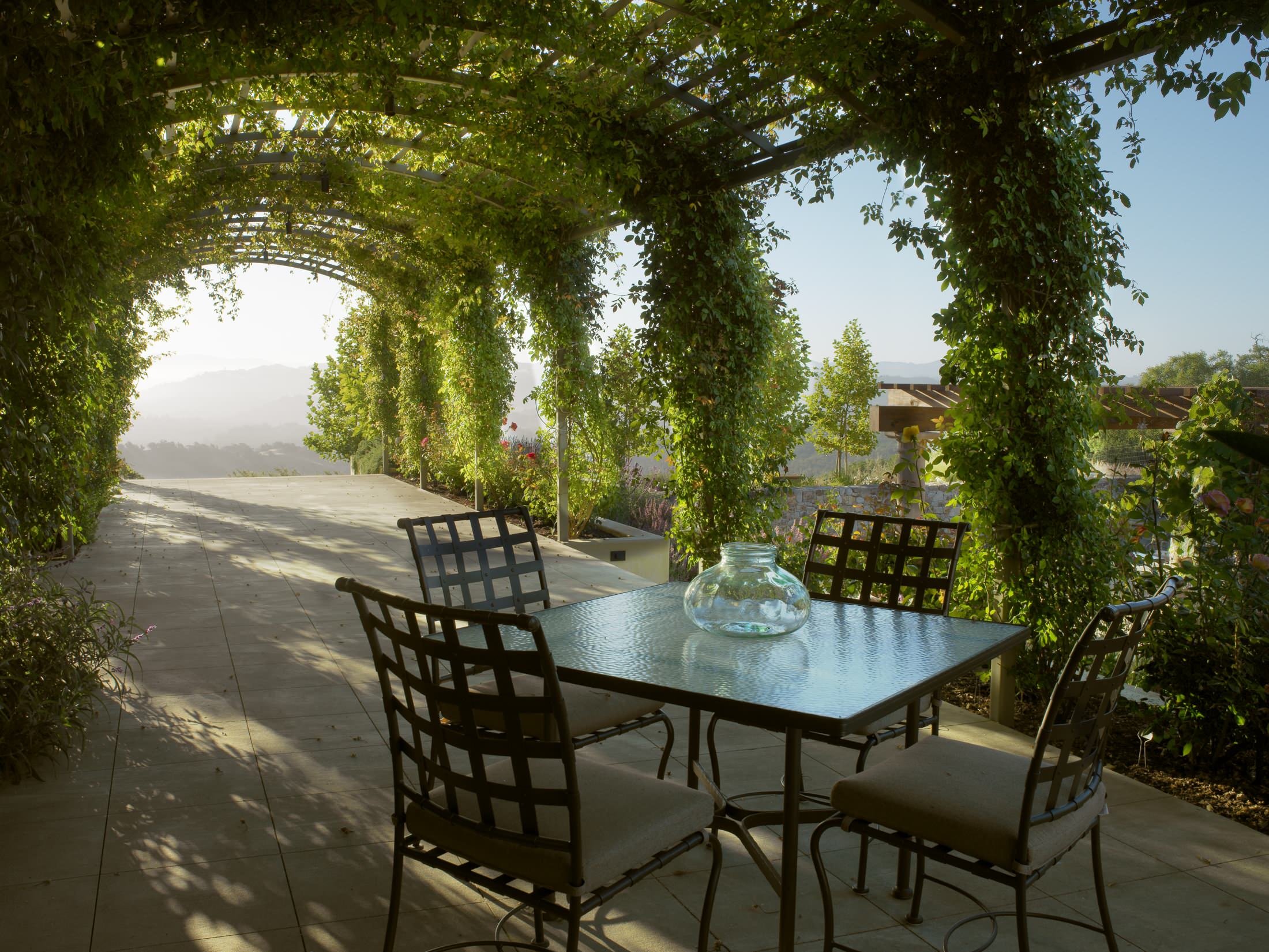 Grape Vine Patio Ideas Photos Houzz