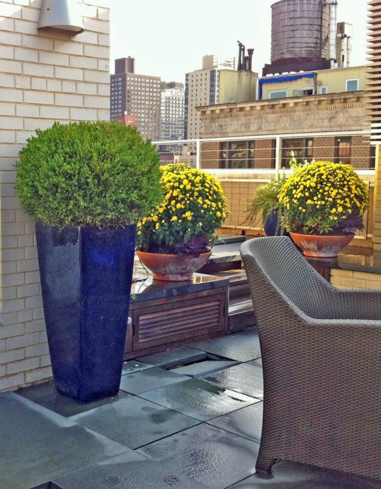 Moderner Patio mit Kübelpflanzen und Natursteinplatten in New York