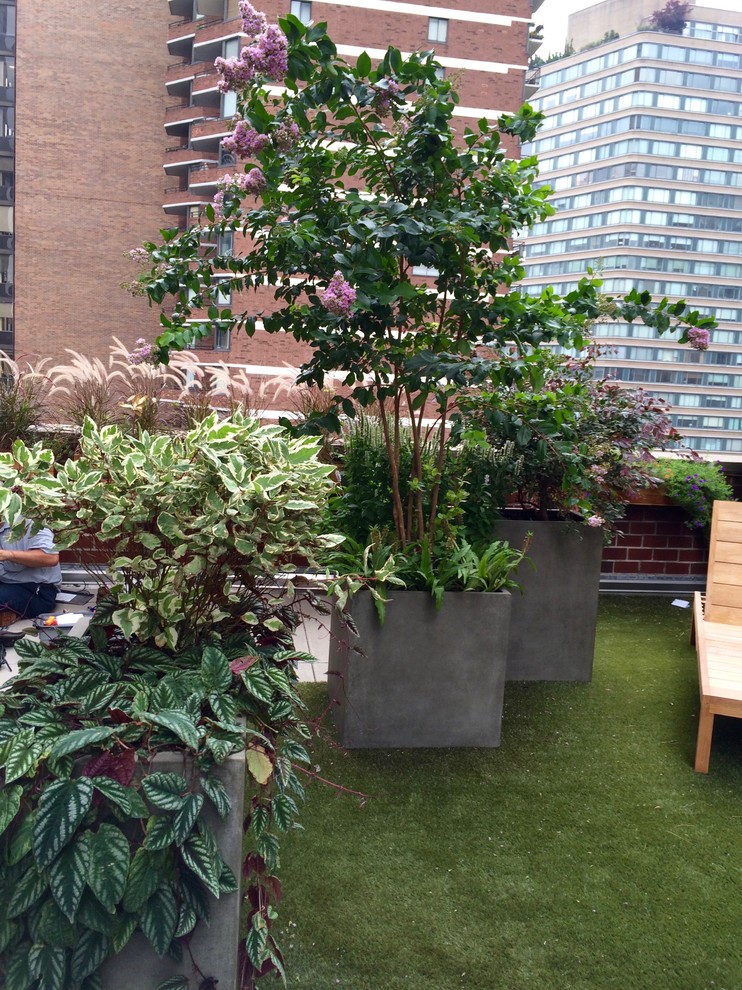 Inspiration for a medium sized contemporary courtyard patio in New York with a potted garden and no cover.