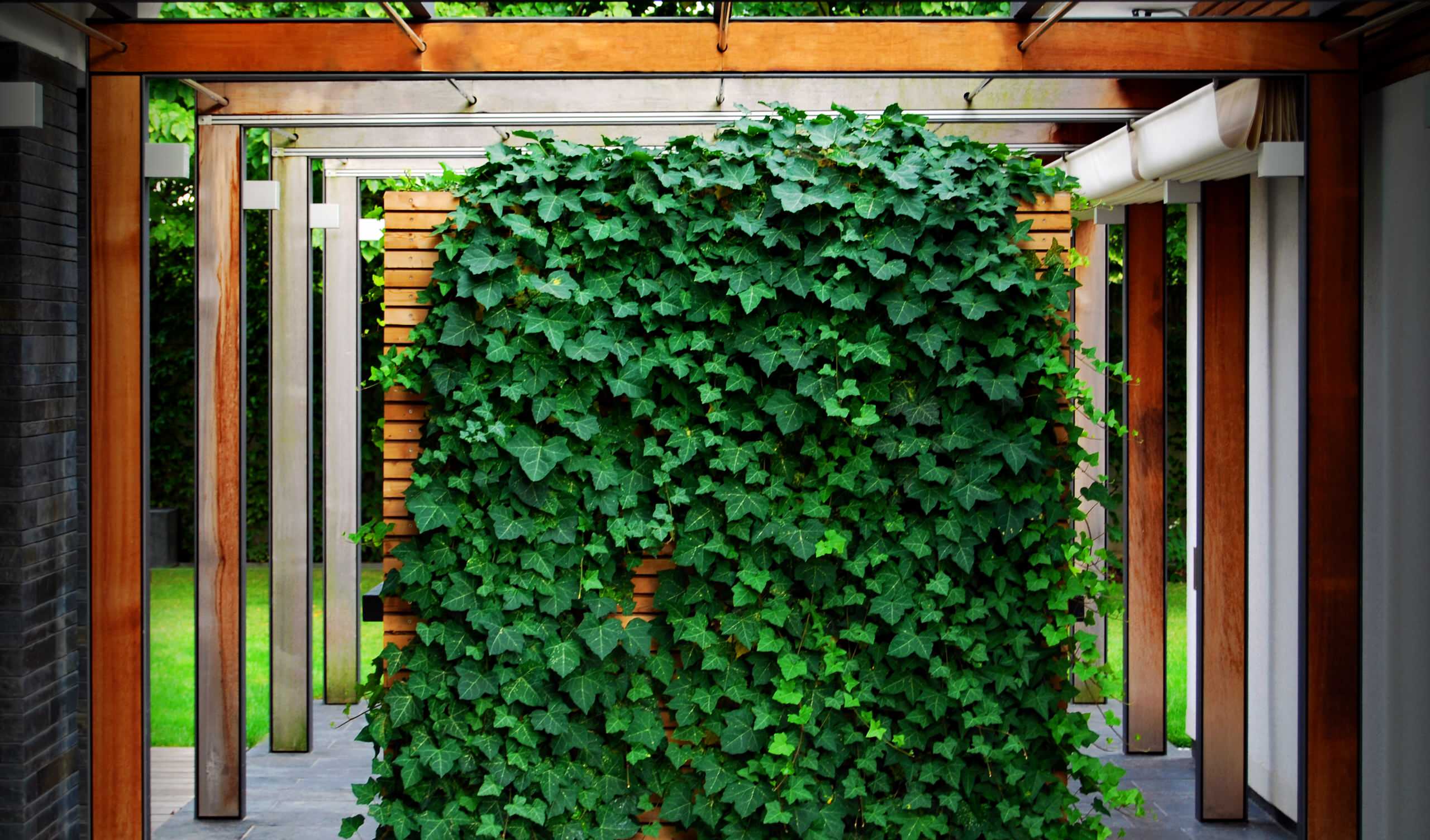 Зелёная стена: как сделать вертикальный сад своими руками