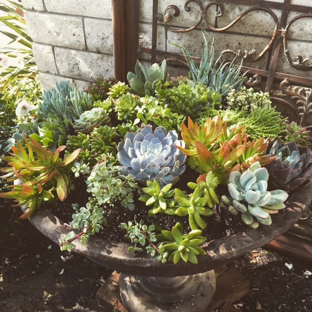 Verdigris Thousand Oaks Home Traditional Patio Los Angeles by