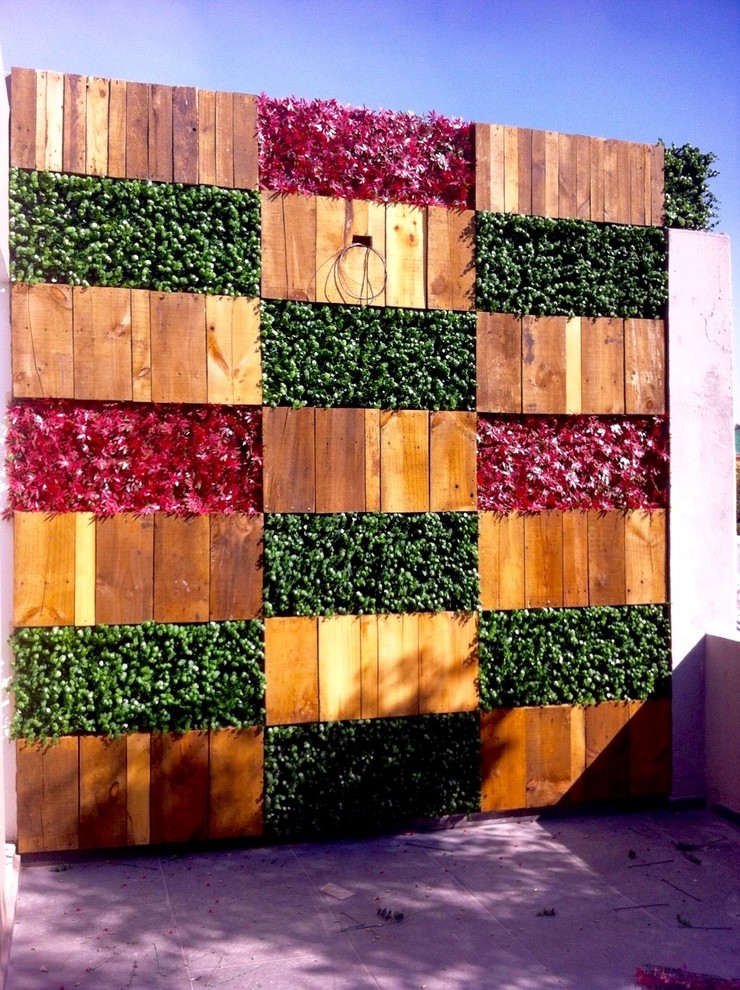 Example of a mid-sized minimalist backyard patio vertical garden design in Houston with no cover