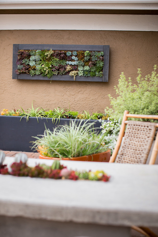 Foto de patio minimalista de tamaño medio en patio trasero con jardín vertical