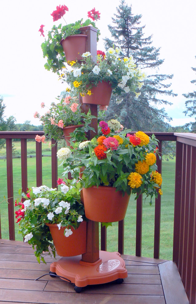 Inspiration pour une terrasse avec des plantes en pots traditionnelle avec une cour et aucune couverture.
