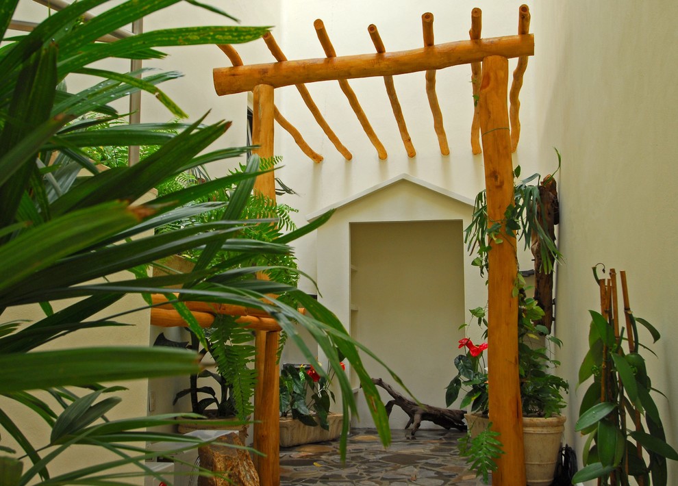 Inspiration for a tropical patio remodel in Mexico City
