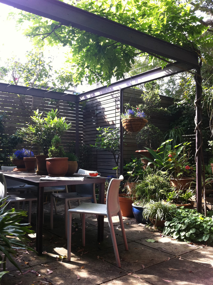 Contemporary back patio in Sydney with a pergola.