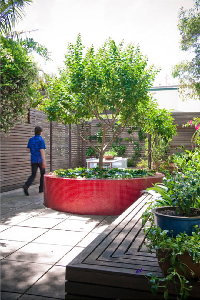 Unbedeckter, Mittelgroßer Eklektischer Patio mit Kübelpflanzen in Sydney
