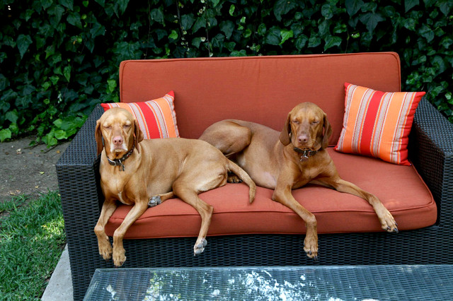 Wicker 2024 loveseat cushions