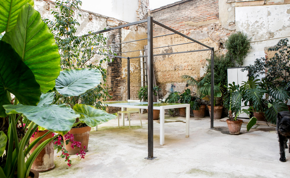 Mittelgroßer, Unbedeckter Mid-Century Patio im Innenhof mit Kübelpflanzen in Valencia