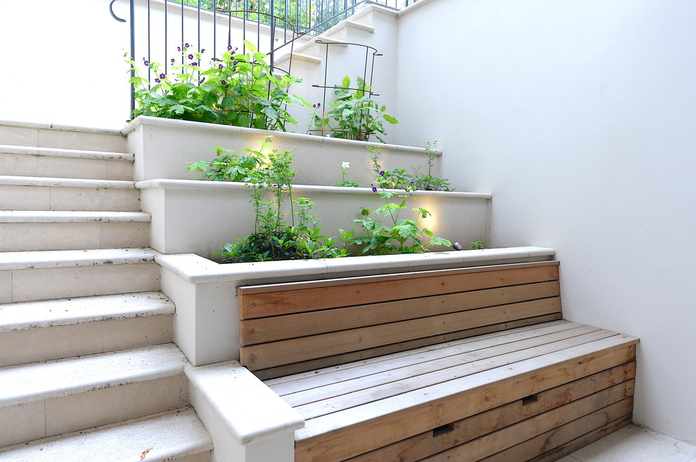 This is an example of a small contemporary patio in London with a potted garden and no cover.