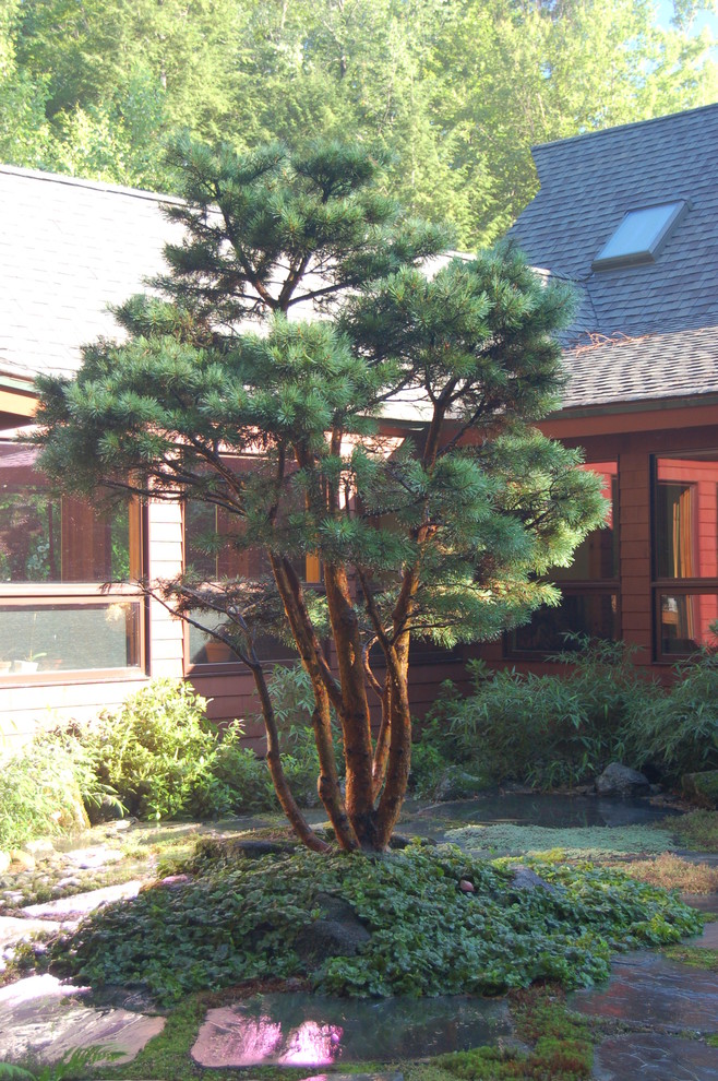 Exemple d'une terrasse asiatique de taille moyenne avec une cour, des pavés en pierre naturelle et aucune couverture.