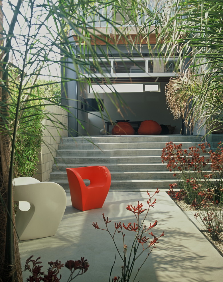 Idee per un patio o portico moderno dietro casa con scale