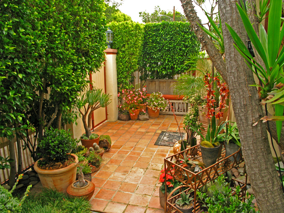 Esempio di un patio o portico eclettico di medie dimensioni e in cortile con un giardino in vaso, piastrelle e nessuna copertura