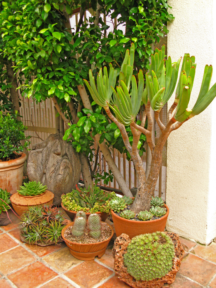 Ejemplo de patio bohemio de tamaño medio sin cubierta en patio con jardín de macetas y suelo de baldosas