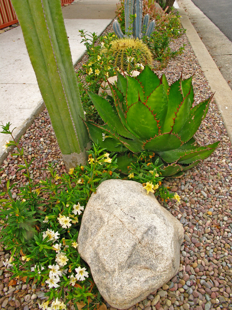 Exemple d'une terrasse avec des plantes en pots éclectique de taille moyenne avec une cour, du carrelage et aucune couverture.