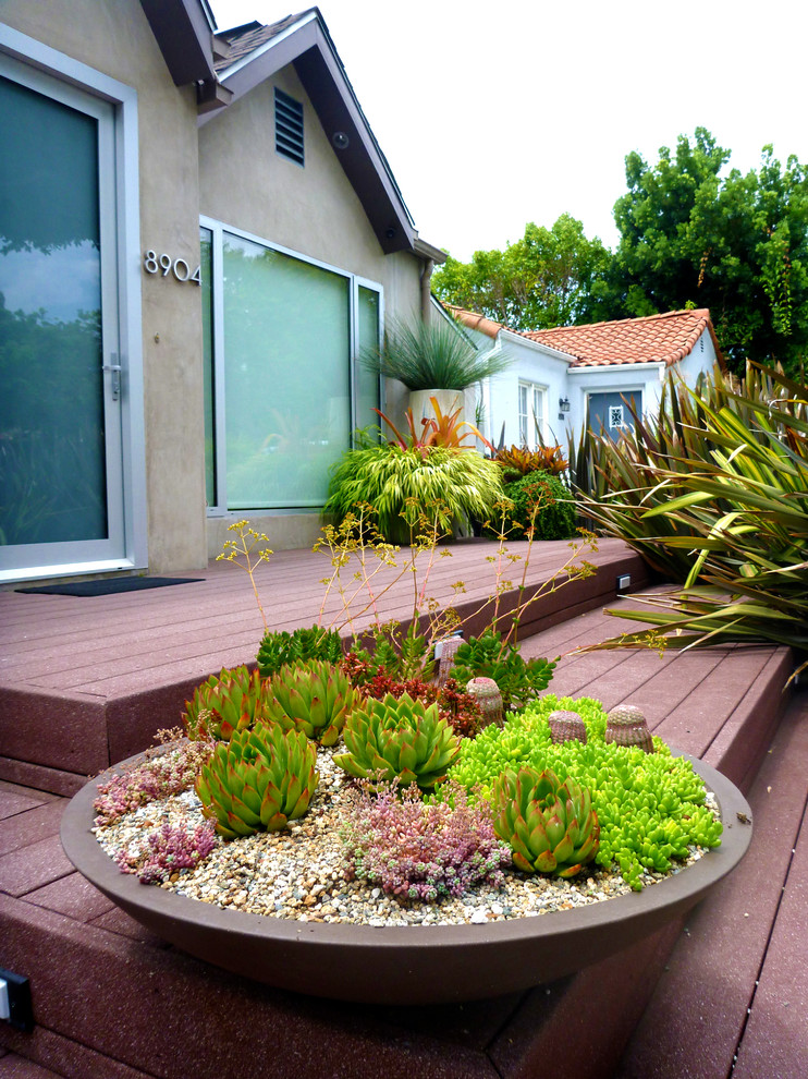 Example of a small trendy backyard patio container garden design in Los Angeles with no cover
