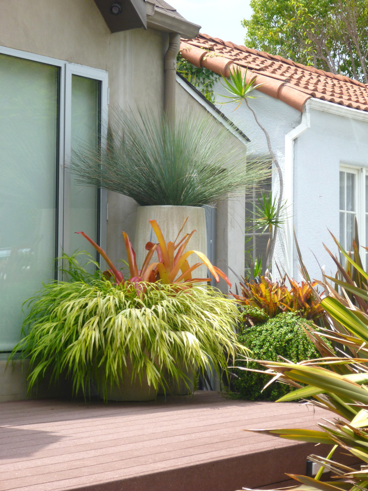 West Hollywood Container Garden Contemporary Patio Los Angeles