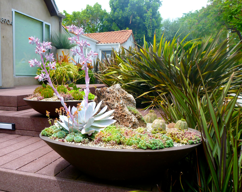 Идея дизайна: маленький двор на заднем дворе в современном стиле с растениями в контейнерах для на участке и в саду