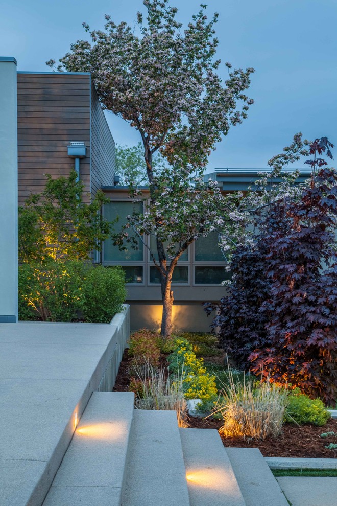 На фото: большой двор на заднем дворе в стиле модернизм с местом для костра и мощением тротуарной плиткой без защиты от солнца