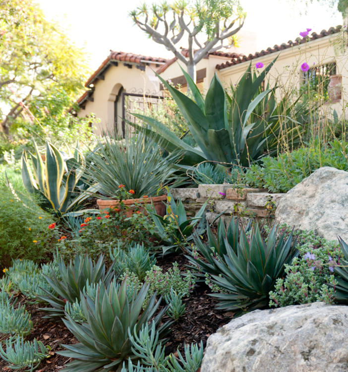 Photo of an eclectic landscaping in Los Angeles.