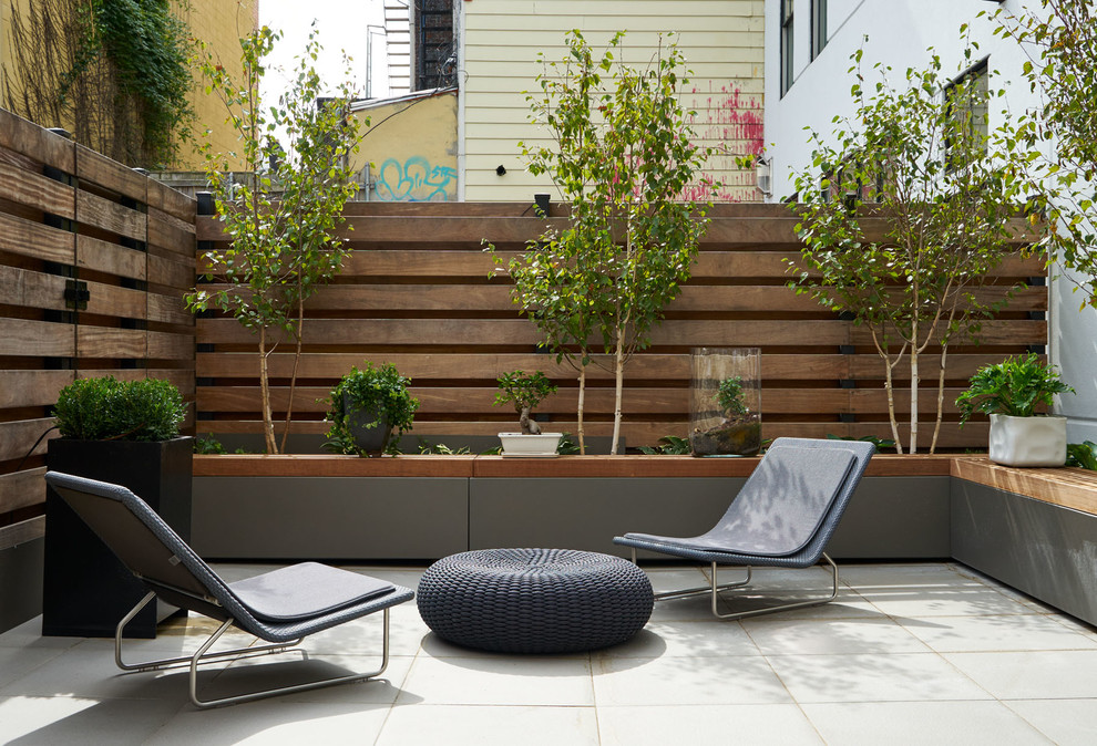 Идея дизайна: двор среднего размера на заднем дворе в современном стиле с растениями в контейнерах и мощением тротуарной плиткой без защиты от солнца