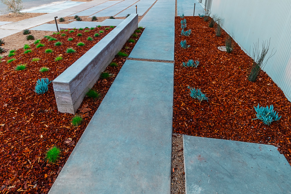Mittelgroßer, Unbedeckter Moderner Vorgarten mit Betonplatten in San Francisco