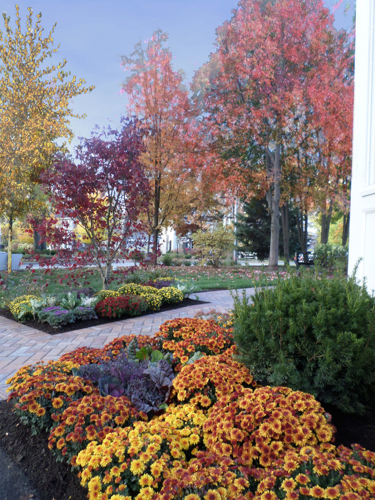 Immagine di un giardino contemporaneo di medie dimensioni e davanti casa con pavimentazioni in mattoni