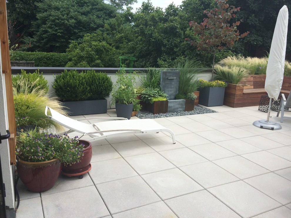 Cette photo montre une terrasse avec des plantes en pots tendance de taille moyenne avec une cour, aucune couverture et du carrelage.