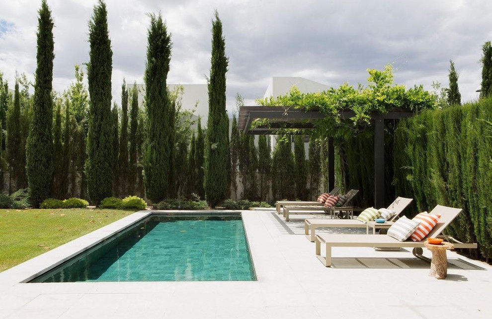 Diseño de piscina alargada actual rectangular en patio trasero