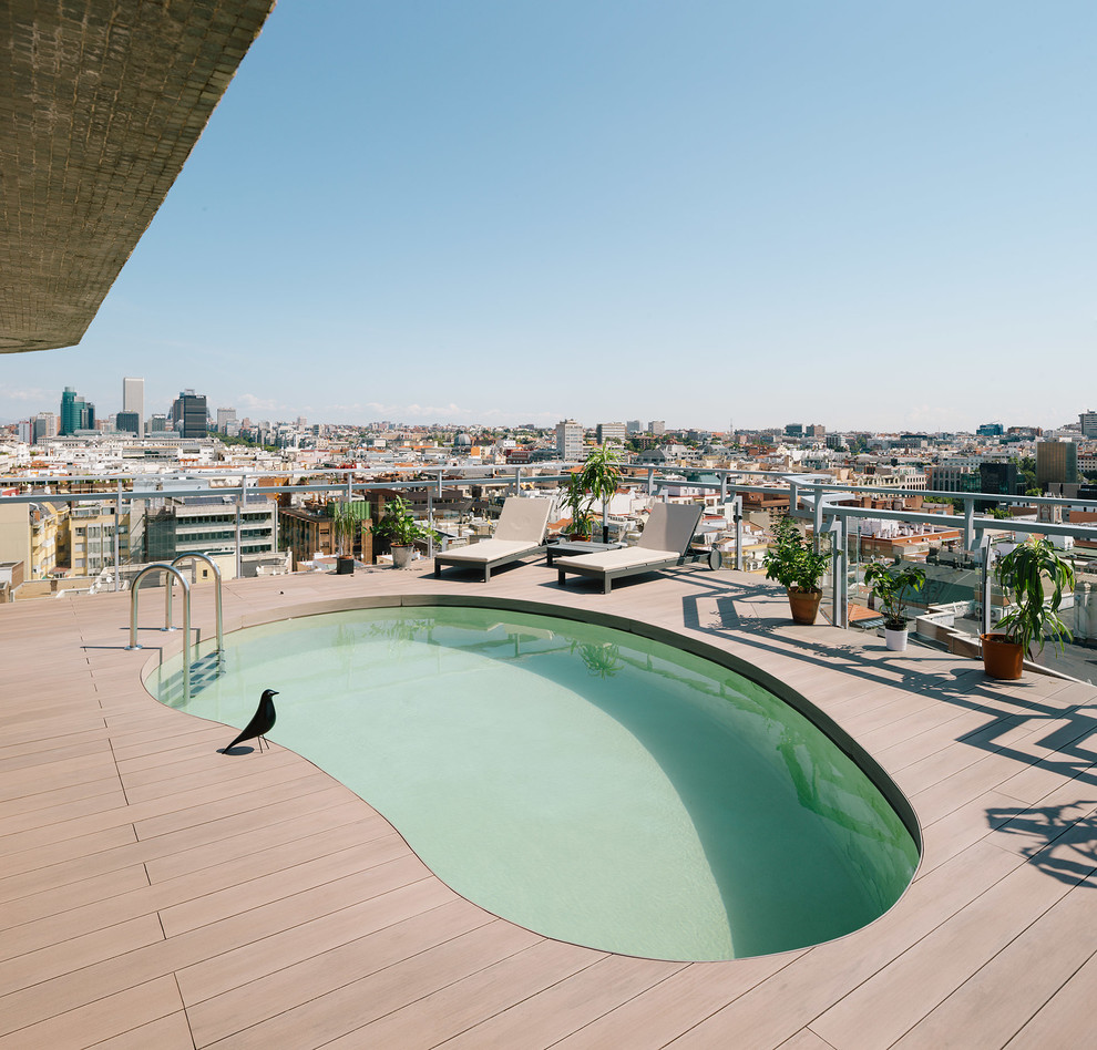 Réalisation d'une petite piscine sur toit design en forme de haricot avec une terrasse en bois.