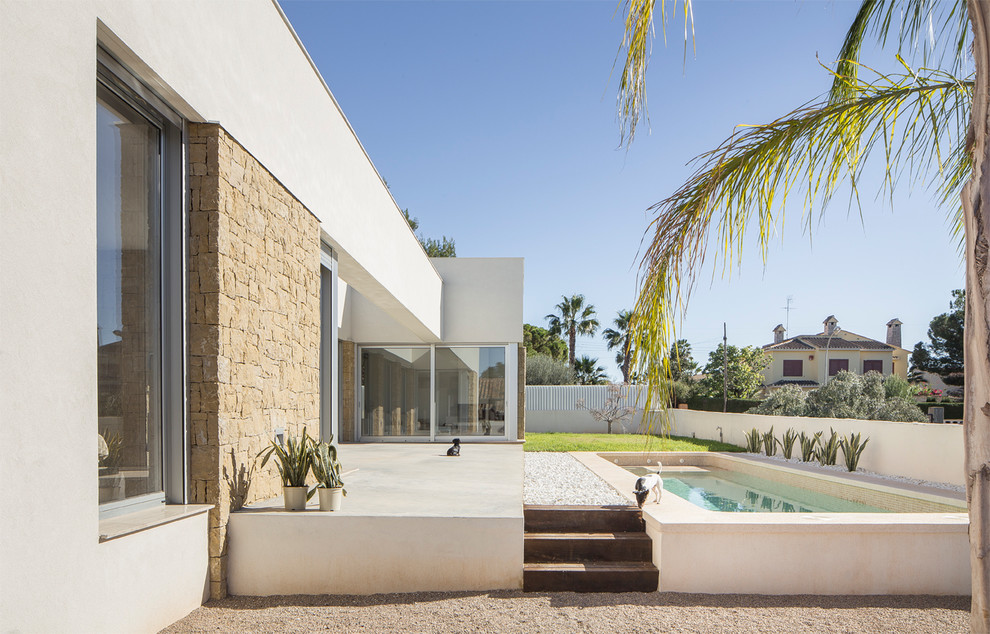 Ejemplo de piscina elevada contemporánea de tamaño medio rectangular en patio lateral