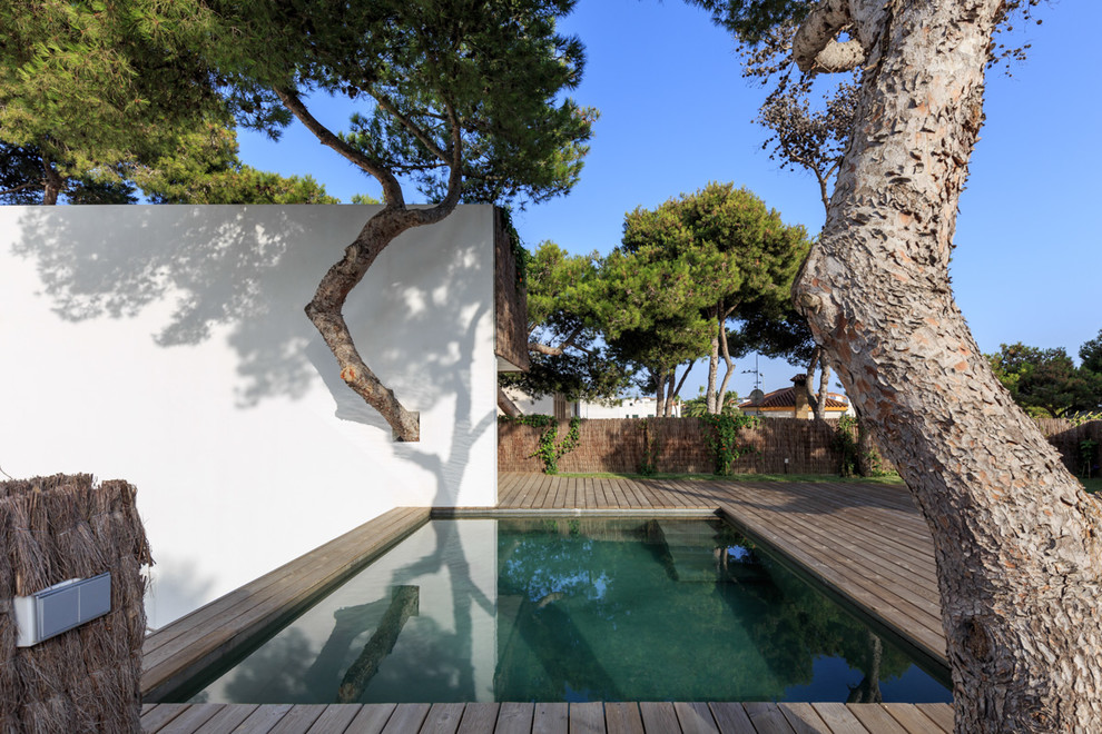 Cette image montre une petite piscine design rectangle avec une terrasse en bois.