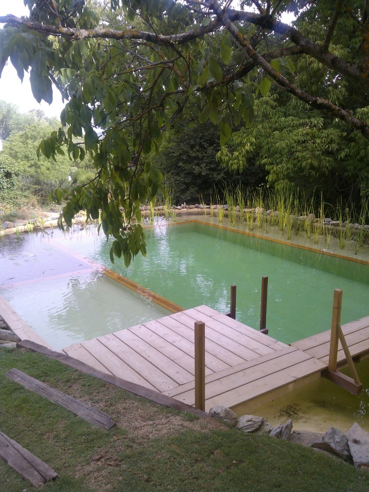 Aménagement d'une grande piscine naturelle montagne.