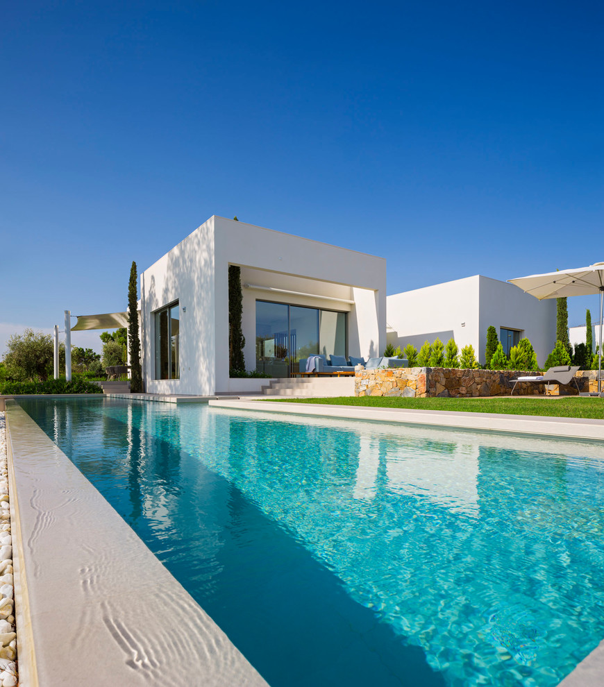 Immagine di una grande piscina monocorsia moderna rettangolare dietro casa con una dépendance a bordo piscina