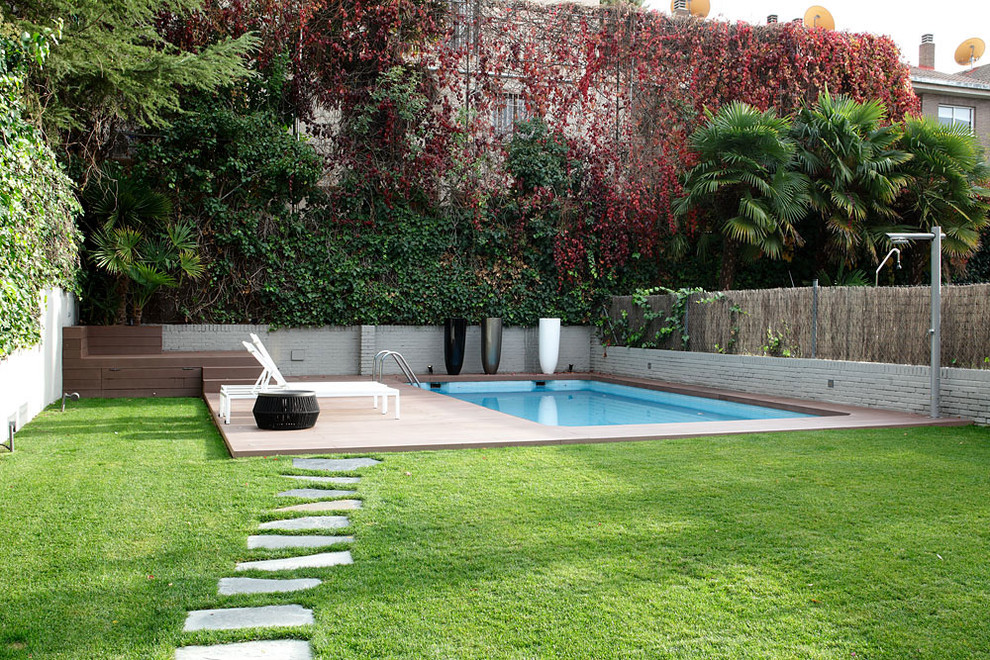 Ispirazione per una piscina monocorsia minimalista rettangolare dietro casa con una dépendance a bordo piscina e pedane